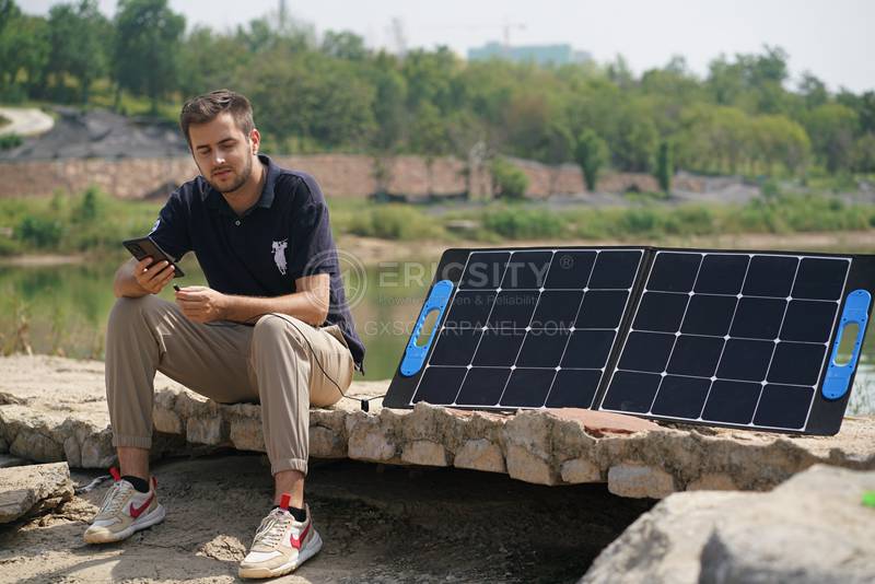 160w Solar Panels On A Budget: Making Renewable Energy Accessible